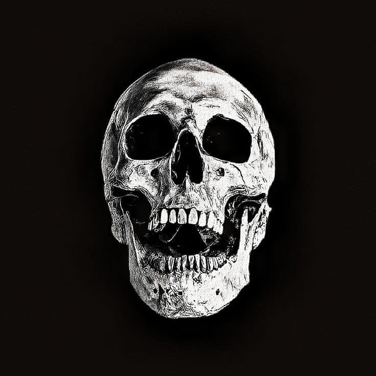 Cover art for FRACTURE