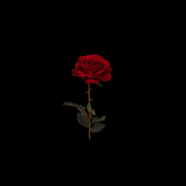 Cover art for 3AM